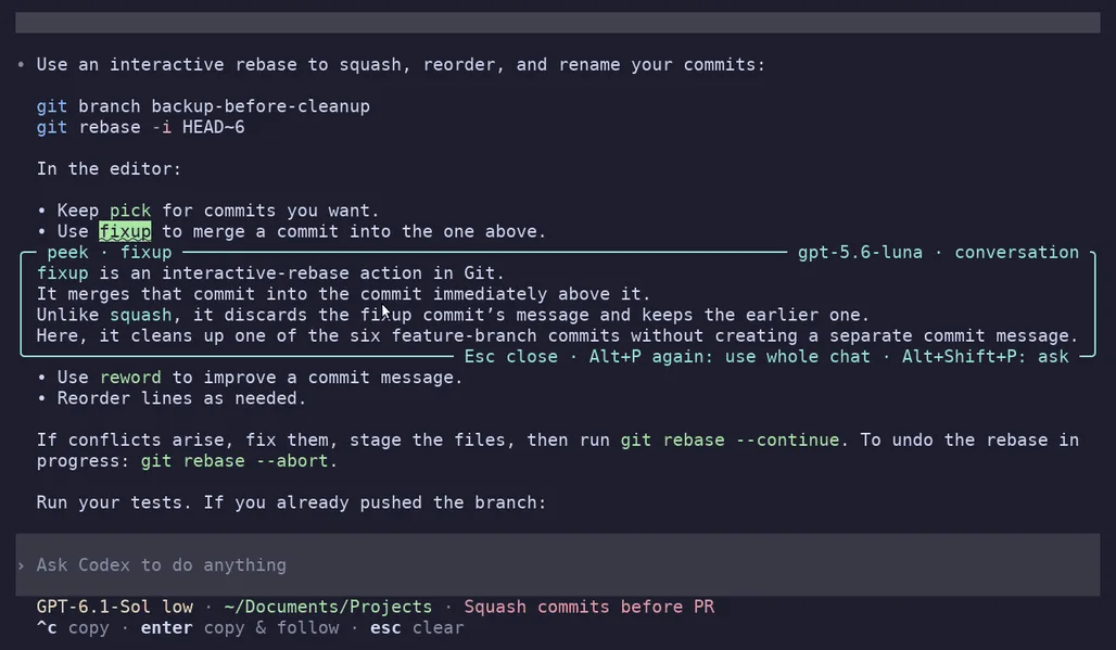 peekme in Codex CLI